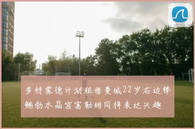 多特蒙德计划租借曼城22岁右边锋鲍勃水晶宫富勒姆同样表达兴趣
