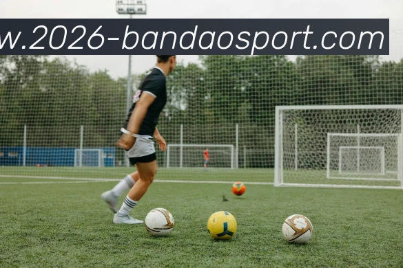 App Interface Preview