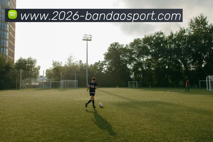 半岛体育APP 封面图