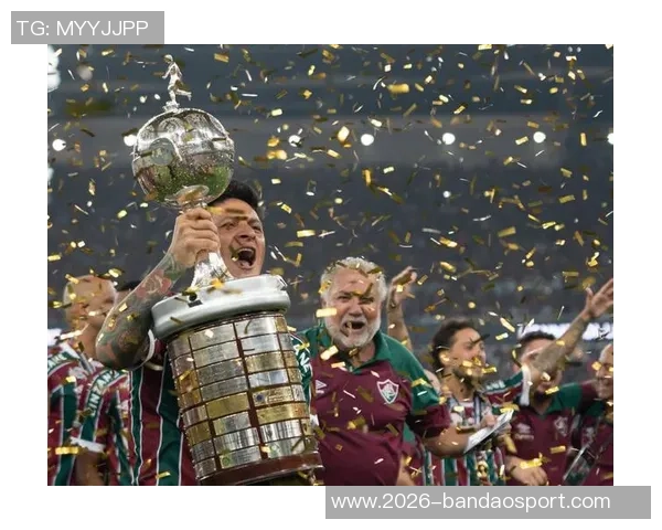 南美解放者杯决赛球队的巴西统治力近十年显著体现